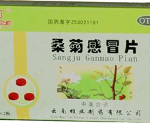 价格对比:桑菊感冒片 24片 云南雄业制药