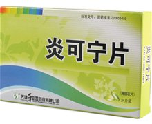 价格对比:炎可宁片 0.32g*24s 天津和治药业