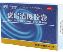 感冒清热胶囊价格对比 0.45g*20粒 北京亚东生物制药