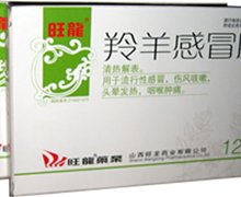 价格对比:羚羊感冒胶囊 0.42g*12粒 山西旺龙药业