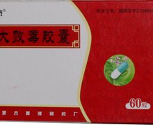 价格对比:大败毒胶囊 0.5g*10粒 内蒙古黄河制药厂