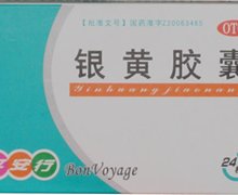 价格对比:银黄胶囊 0.3g*24s 长春益肾康生物制药