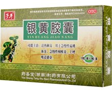 价格对比:银黄胶囊 24粒 药圣堂制药