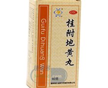 价格对比:桂附地黄丸 60g 福州海王金象中药制药