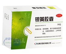 价格对比:银黄胶囊 0.3g*36s 石家庄四药