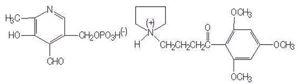 磷酸吡哆醛丁咯地尔胶囊