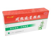 价格对比:风热感冒颗粒 10g*9袋 广东一方制药