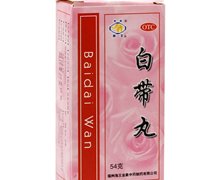 价格对比:白带丸 54g(水丸) 福州海王金象中药制药