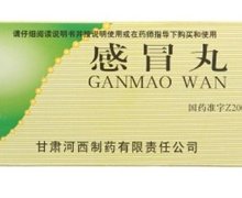 感冒丸价格对比 9g*10丸 甘肃河西制药