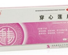 穿心莲片价格对比 36片 湖南康寿制药