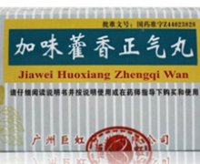 加味藿香正气丸价格对比 10袋 广州巨虹