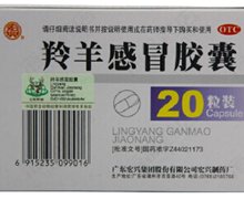 价格对比:羚羊感冒胶囊 0.42g*20粒 广东宏兴