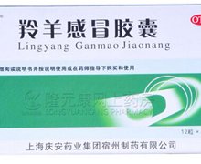价格对比:羚羊感冒胶囊 0.42g*12s 上海庆安药业集团宿州制药