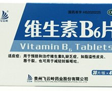 维生素B6片(飞云岭)价格对比 120片
