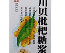 价格对比:川贝枇杷糖浆 150ml 广东宏兴制药厂