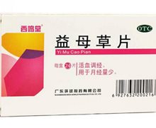 价格对比:益母草片 24片 广东环球制药