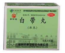 价格对比:白带丸 6g*6袋 药都制药