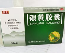 价格对比:银黄胶囊 0.3g*36s 陕西天洋制药