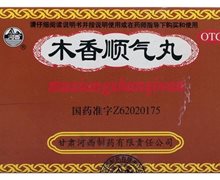 木香顺气丸(河西)价格对比 10袋