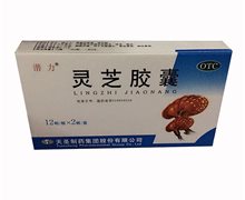 价格对比:灵芝胶囊 0.27g*24粒 天圣制药