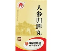 人参归脾丸价格对比 50g 哈药集团