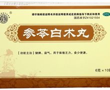 参苓白术丸(长坦)价格对比 10袋 金鸿堂制药