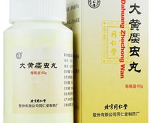 大黄䗪虫丸价格对比 60g 北京同仁堂