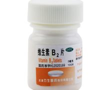 维生素B2片价格对比 100片 天津力生