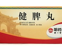 健脾丸价格对比 10丸 世一堂制药