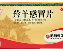 羚羊感冒片(世一堂)价格对比 24片