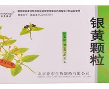 价格对比:银黄颗粒 4g*20袋 北京亚东生物制药