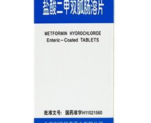 盐酸二甲双胍肠溶片 48片 北京利龄恒泰药业