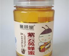 童颜堂紫云英蜂蜜价格对比 500g