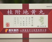 桂附地黄丸(振东制药)价格对比 10丸