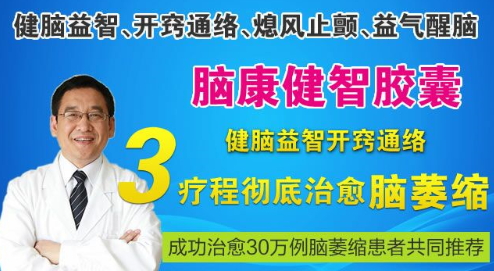 脑康健智胶囊