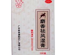 价格对比:麝香祛风湿膏 10cm*6cm*10片 广东泰恩康制药