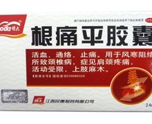 价格对比:根痛平胶囊 0.5g*12粒*2板 江西民康制药