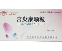 价格对比:宫炎康颗粒 9g*12袋 北京亚东生物制药