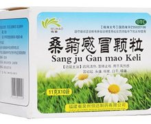 桑菊感冒颗粒(伍泰)价格对比 10袋 泉州恒达制药