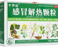 价格对比:感冒解热冲剂/感冒解热颗粒 15g*10袋 广西恒拓集团(仁盛)制药