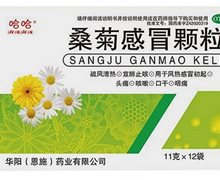 哈哈桑菊感冒颗粒价格对比 12袋