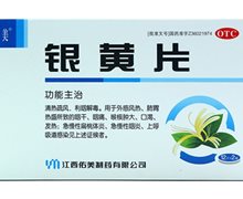 价格对比:银黄片 0.25g*24片 江西天佑药业