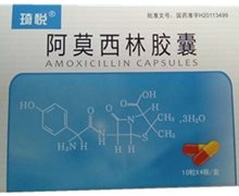 琦悦阿莫西林胶囊价格对比 40粒