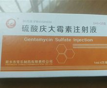 硫酸庆大霉素注射液价格对比 1ml*10支 新乡市常乐