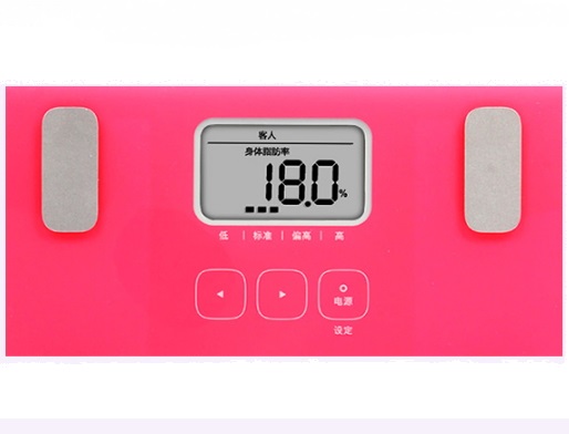 HBF系列体重身体脂肪测量器