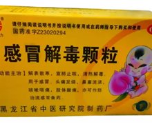 感冒解毒颗粒价格对比 9袋 黑龙江省中医研究院制药厂