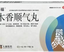 木香顺气丸(人福)价格对比 8袋