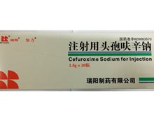 瑞阳注射用头孢呋辛钠价格对比 10瓶