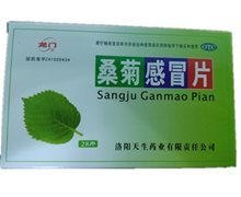 龙门桑菊感冒片价格对比 28片