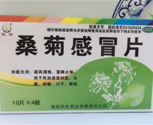 恒帝桑菊感冒片价格对比 40片